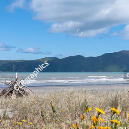 Naturparadies Kapiti Island