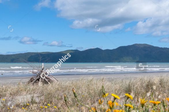 Naturparadies Kapiti Island