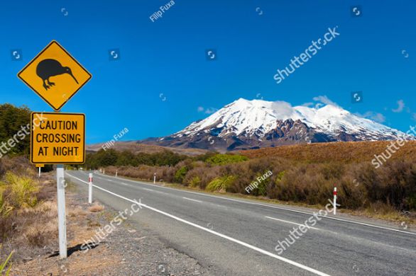 Tongariro National Park - Klassisches Neuseeland